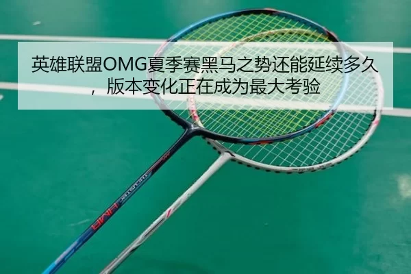 英雄联盟OMG夏季赛黑马之势还能延续多久，版本变化正在成为最大考验